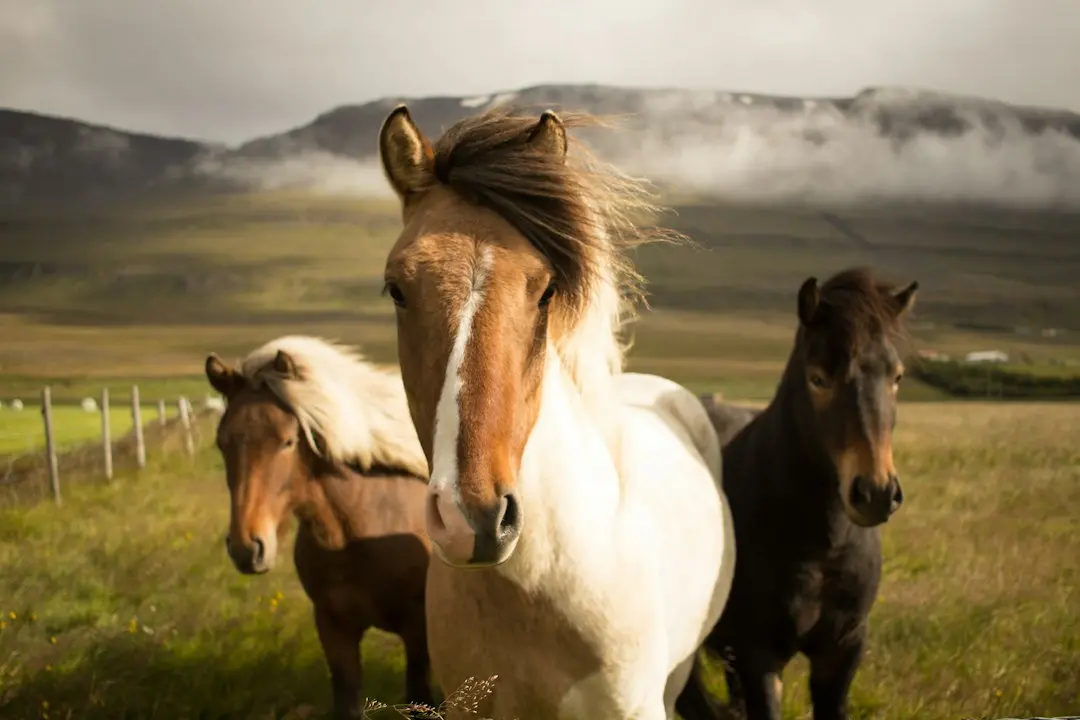 Slow Horses, sezonul 6: Finalul tensionat și noul personaj care schimbă regulile